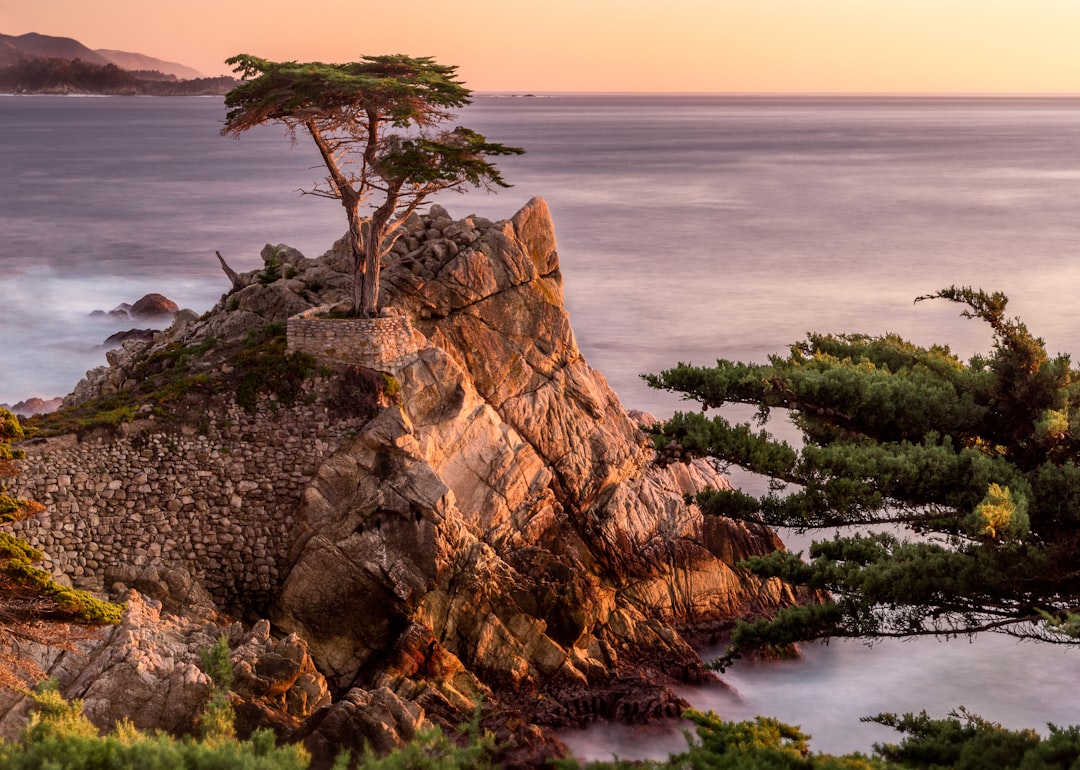 The Lone Cypress at Pebble Beach at sunset — golden light on rock and sea